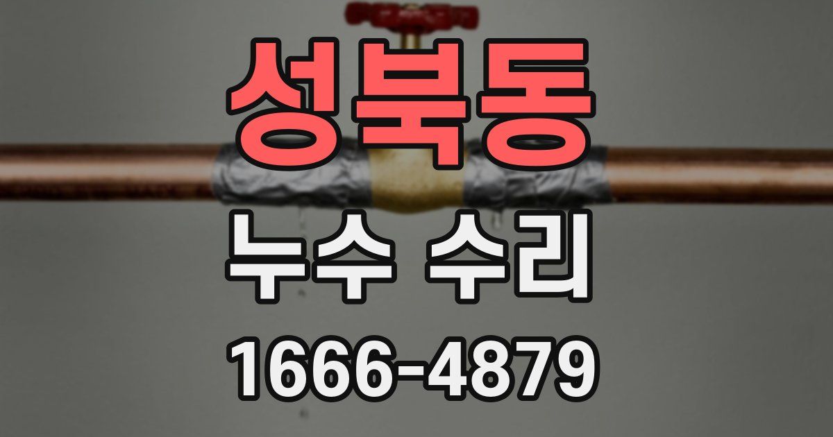 성북동 누수 수리