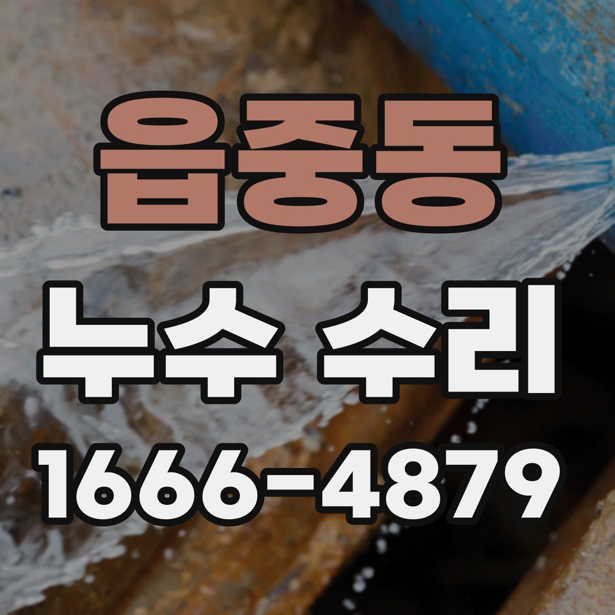 읍중동 누수 수리