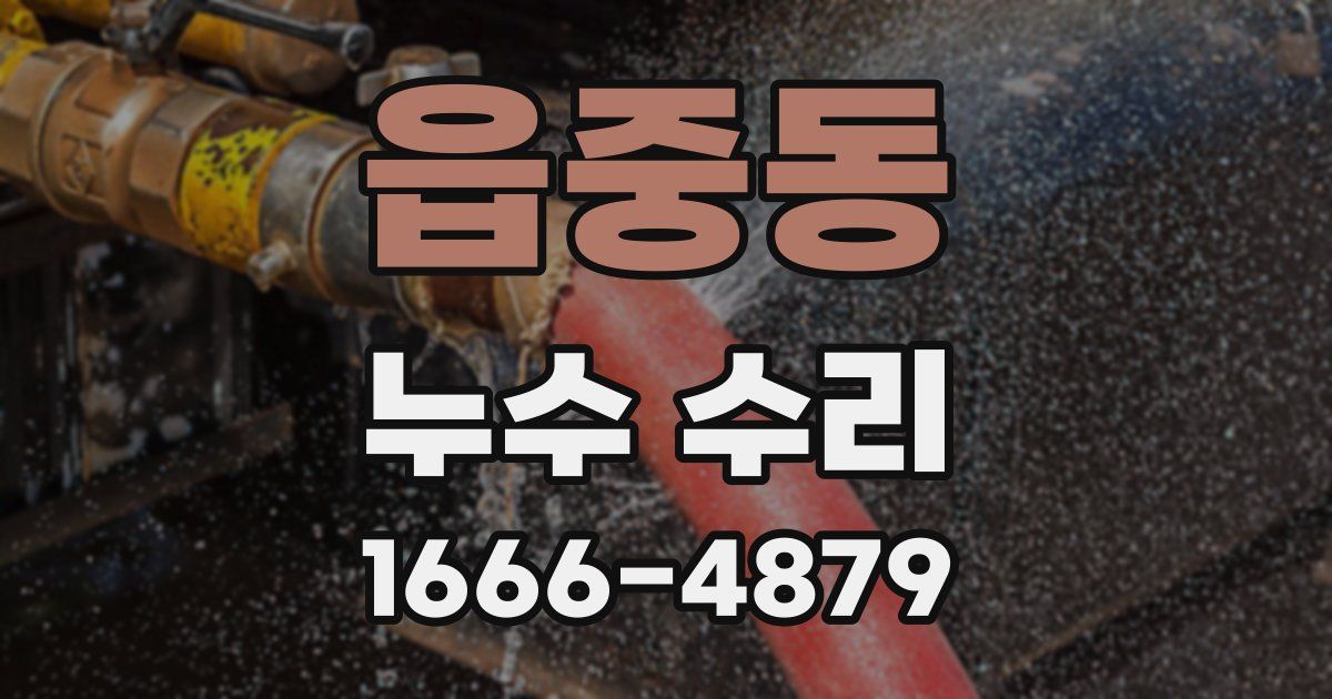 읍중동 누수 수리