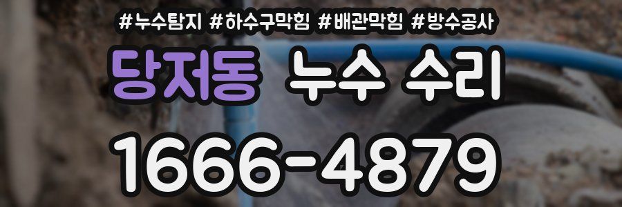 당저동 누수 수리