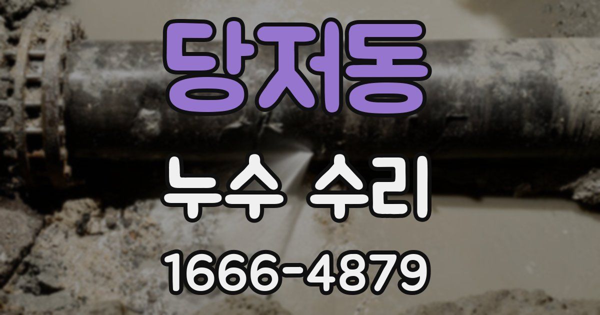당저동 누수 수리