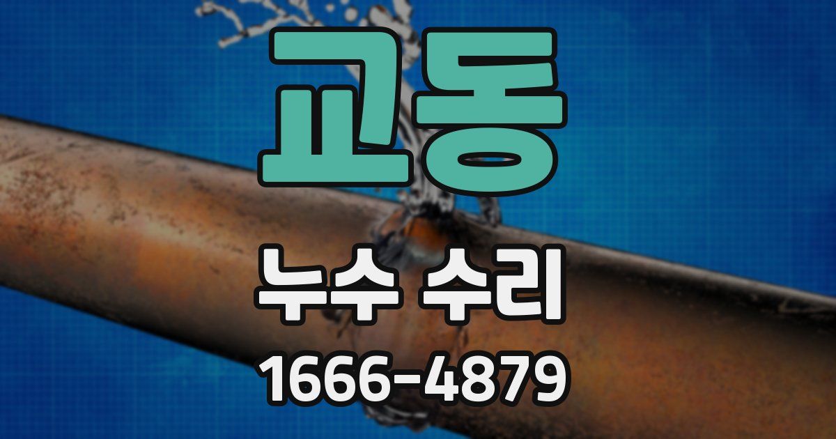 교동 누수 수리