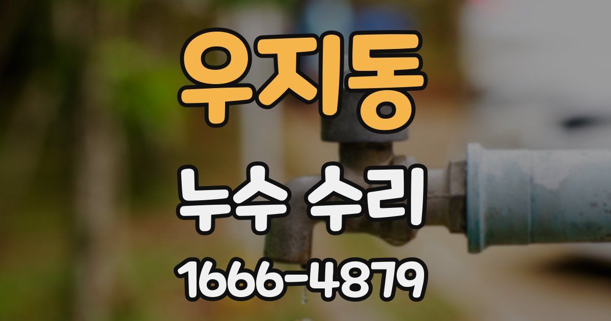 우지동 누수 수리