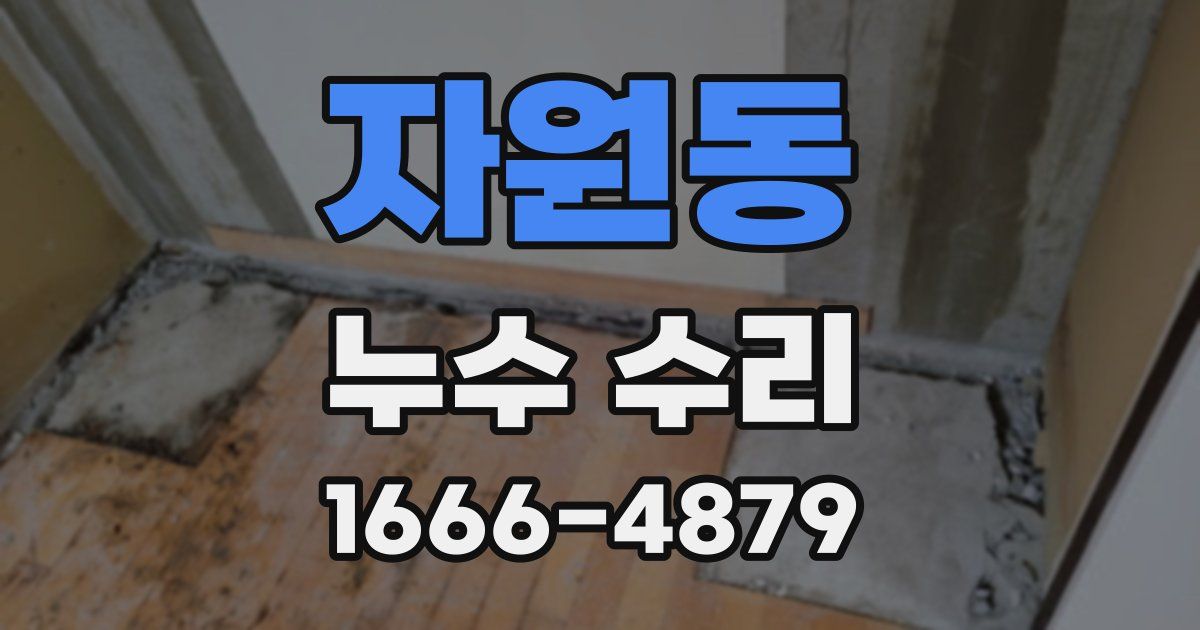 자원동 누수 수리