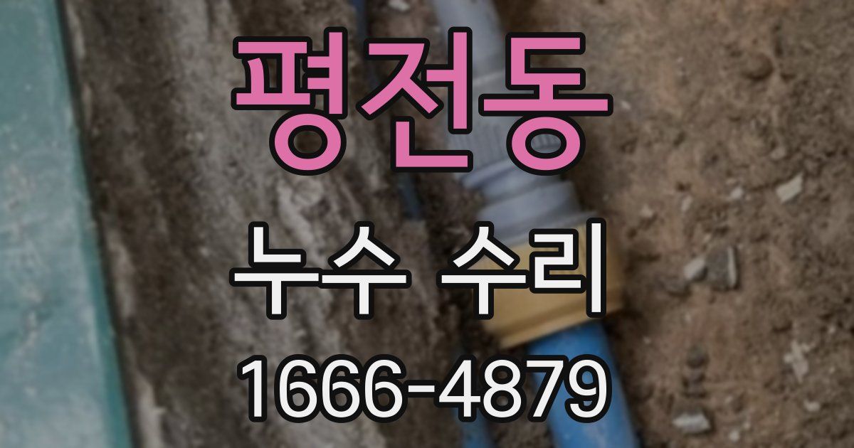 평전동 누수 수리