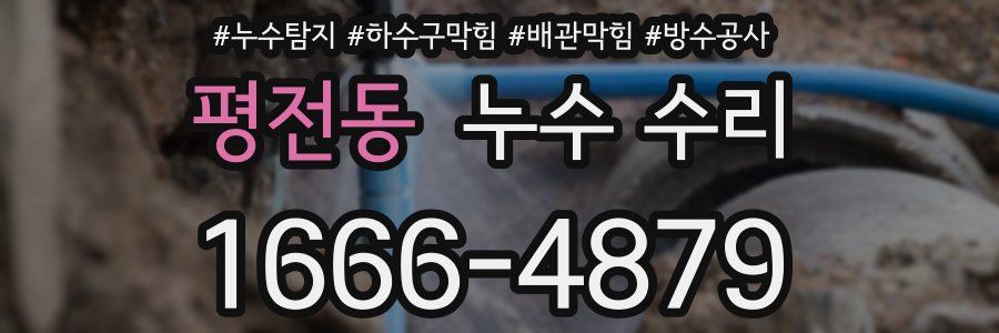 평전동 누수 수리
