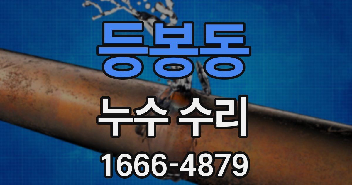 등봉동 누수 수리