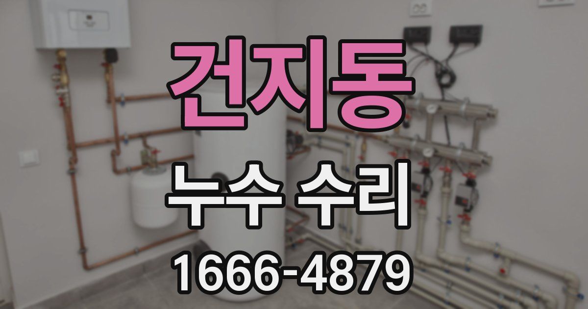 건지동 누수 수리