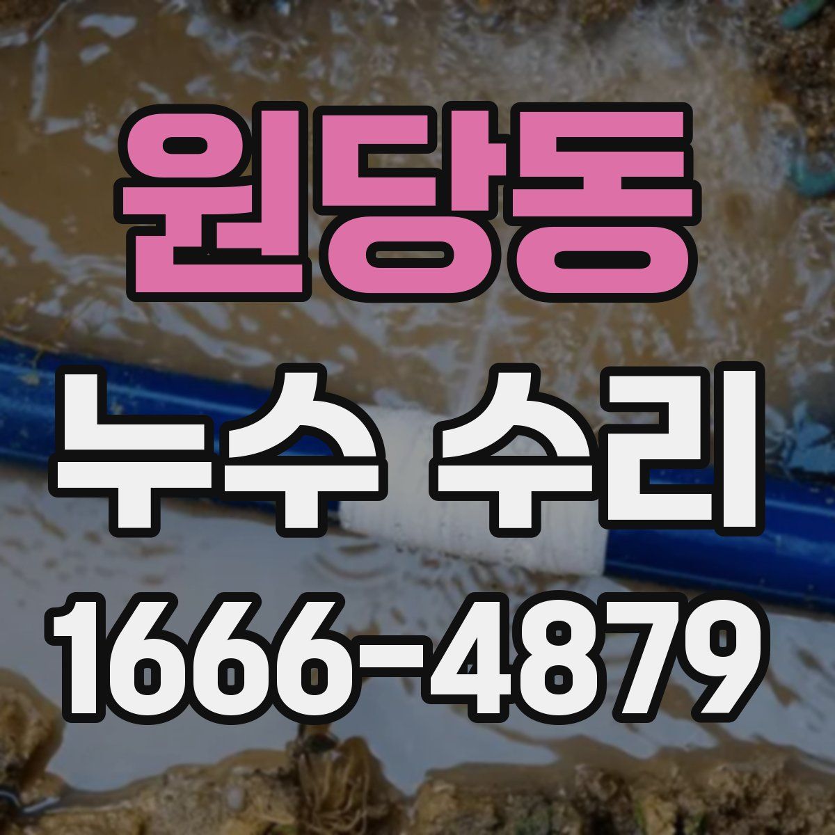 원당동 누수 수리