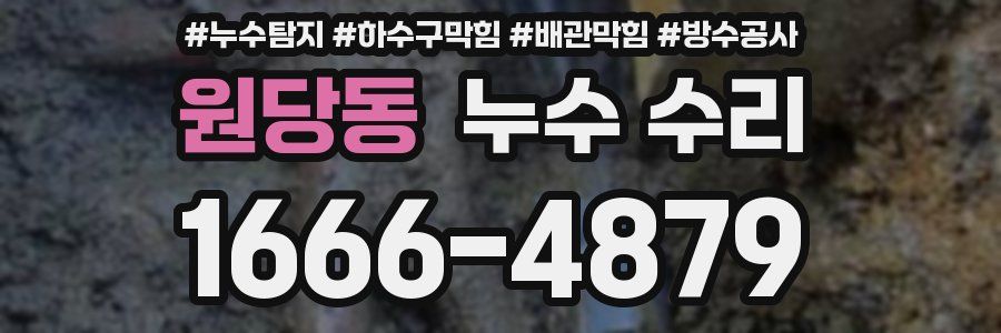 원당동 누수 수리