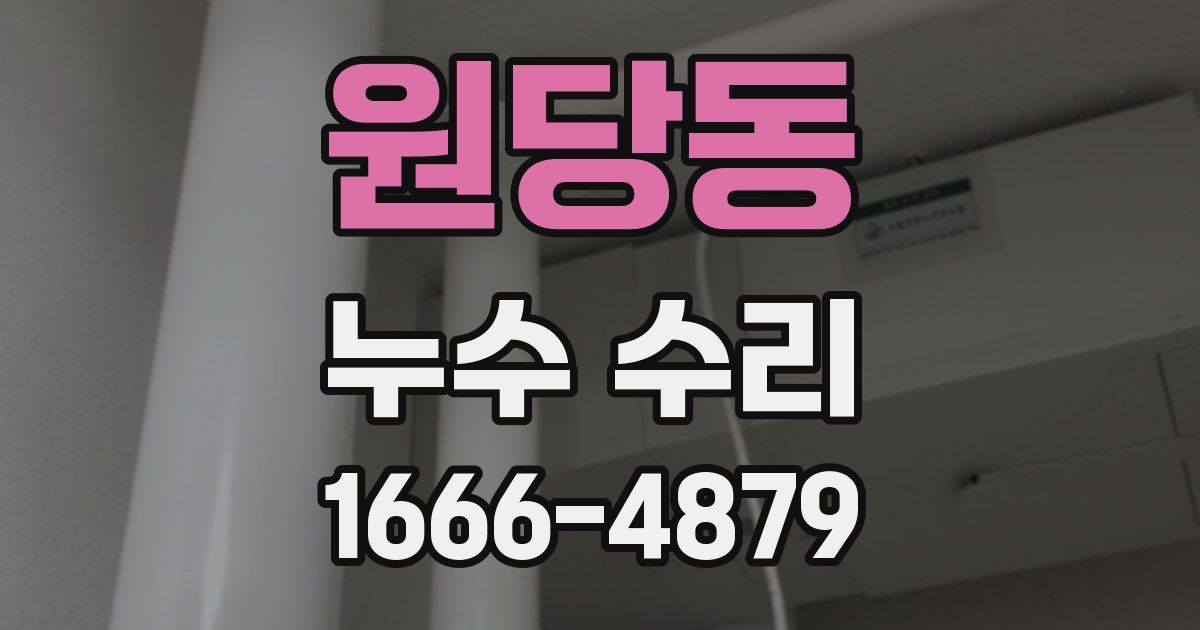 원당동 누수 수리