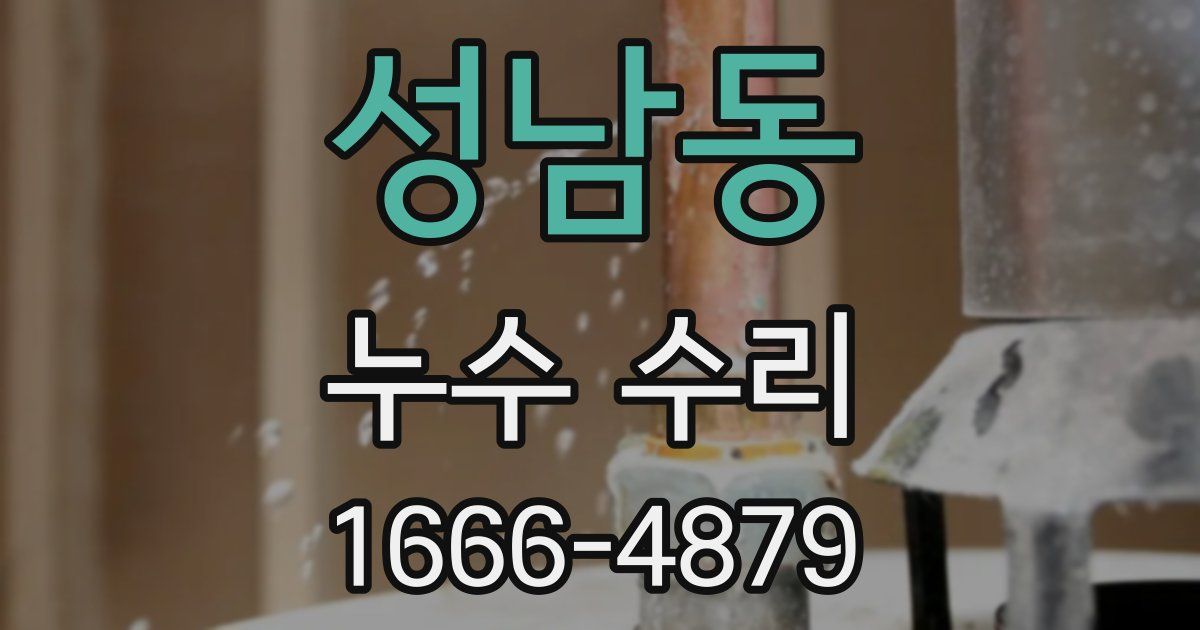 성남동 누수 수리