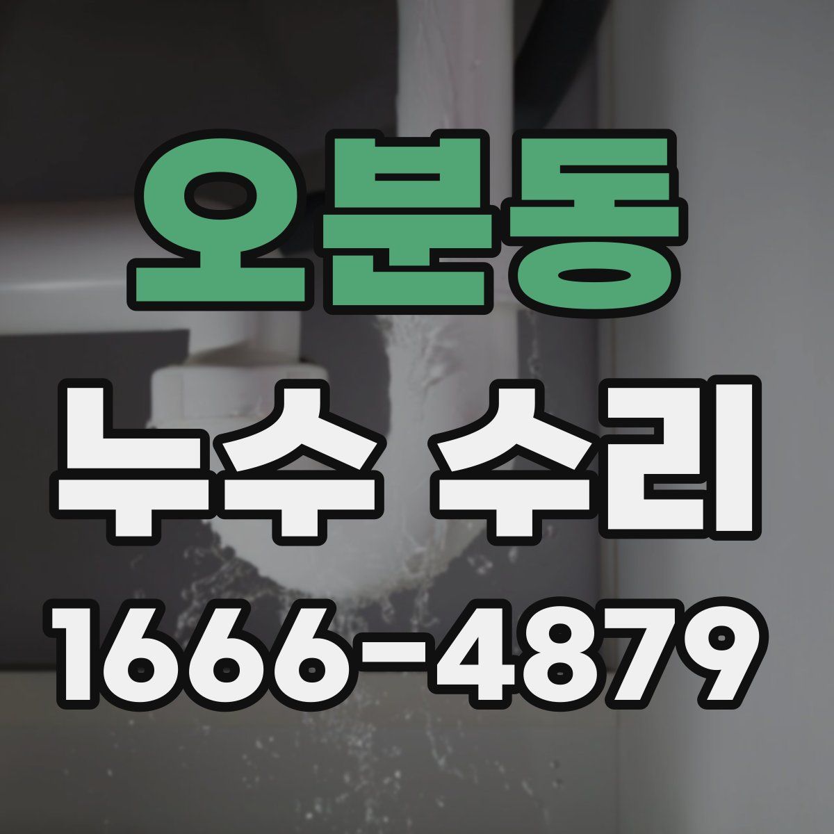 오분동 누수 수리