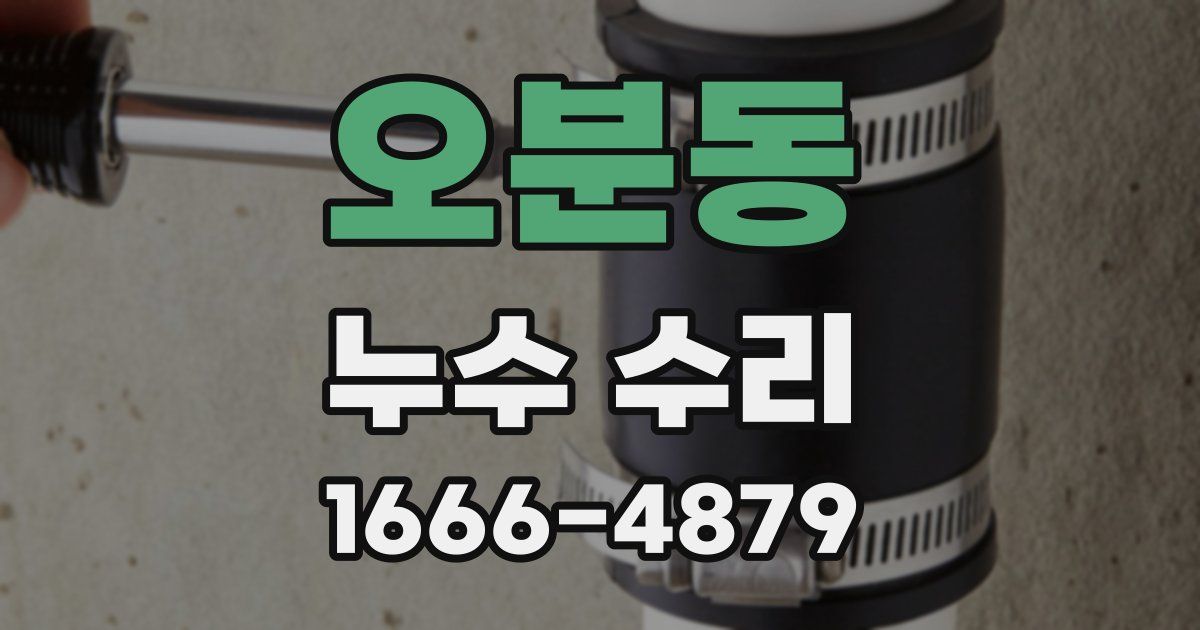 오분동 누수 수리