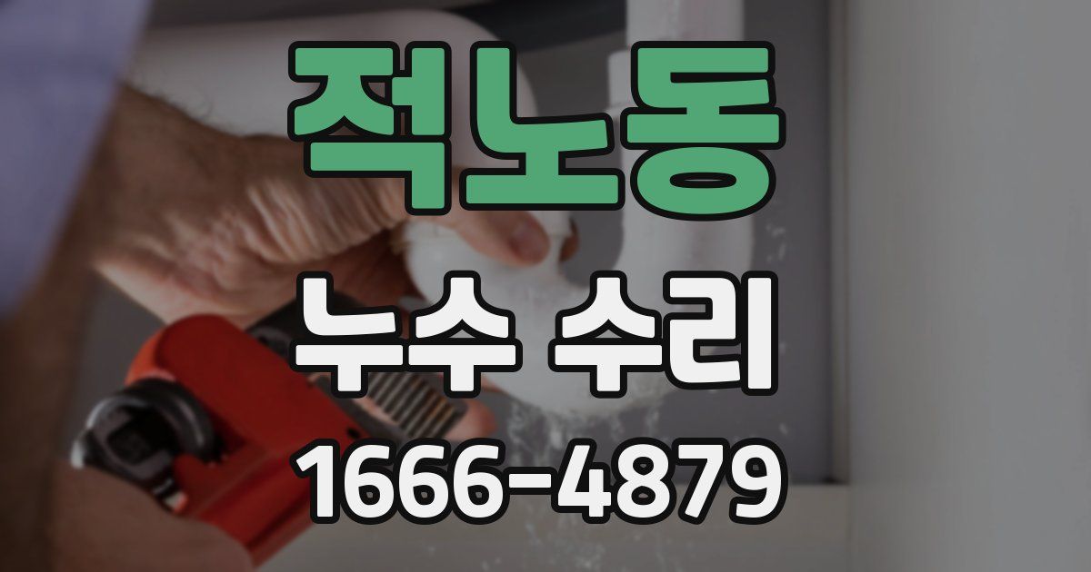 적노동 누수 수리