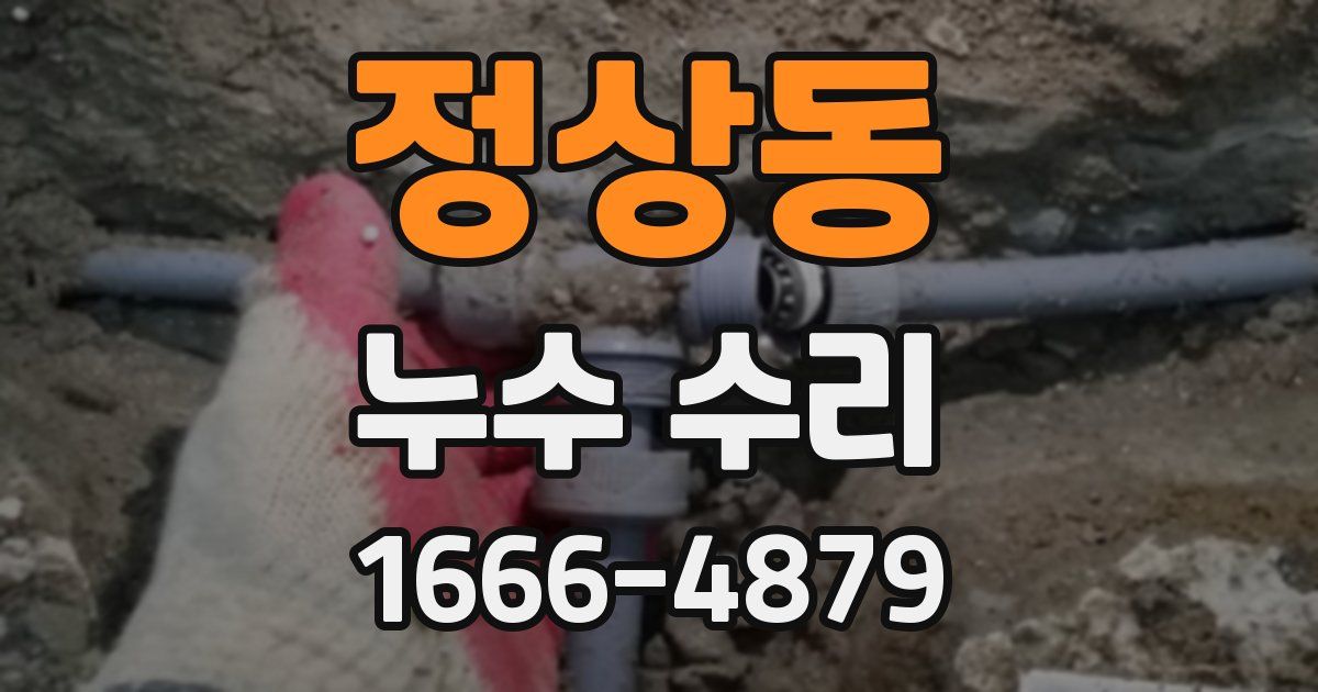 정상동 누수 수리