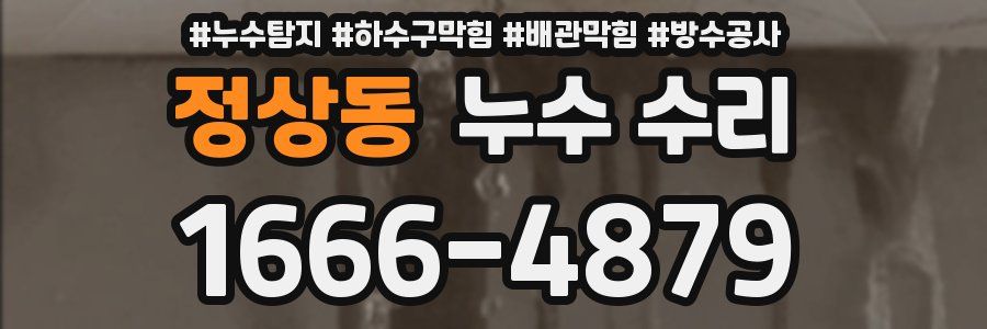정상동 누수 수리