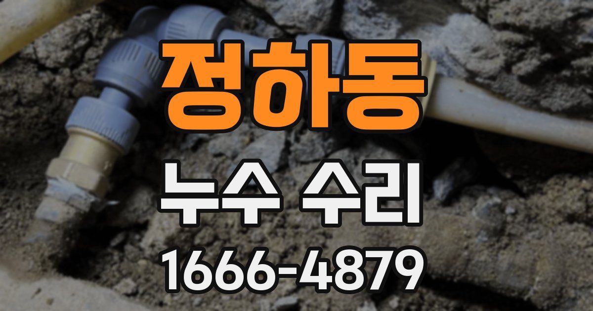 정하동 누수 수리