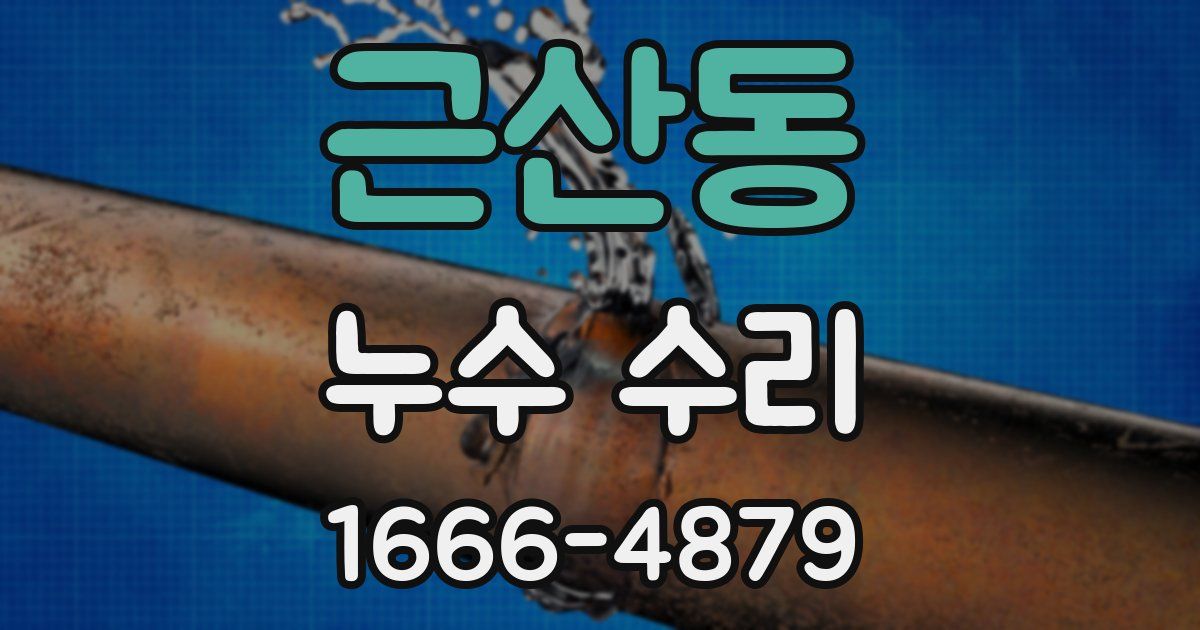 근산동 누수 수리