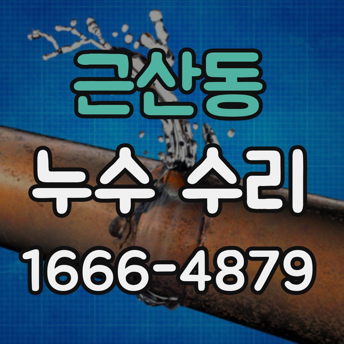 근산동 누수 수리