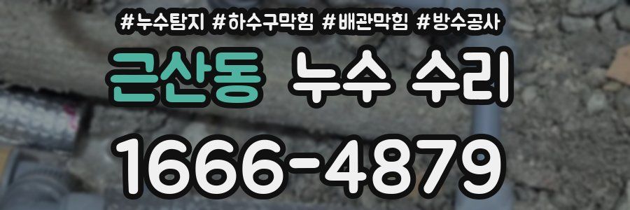 근산동 누수 수리
