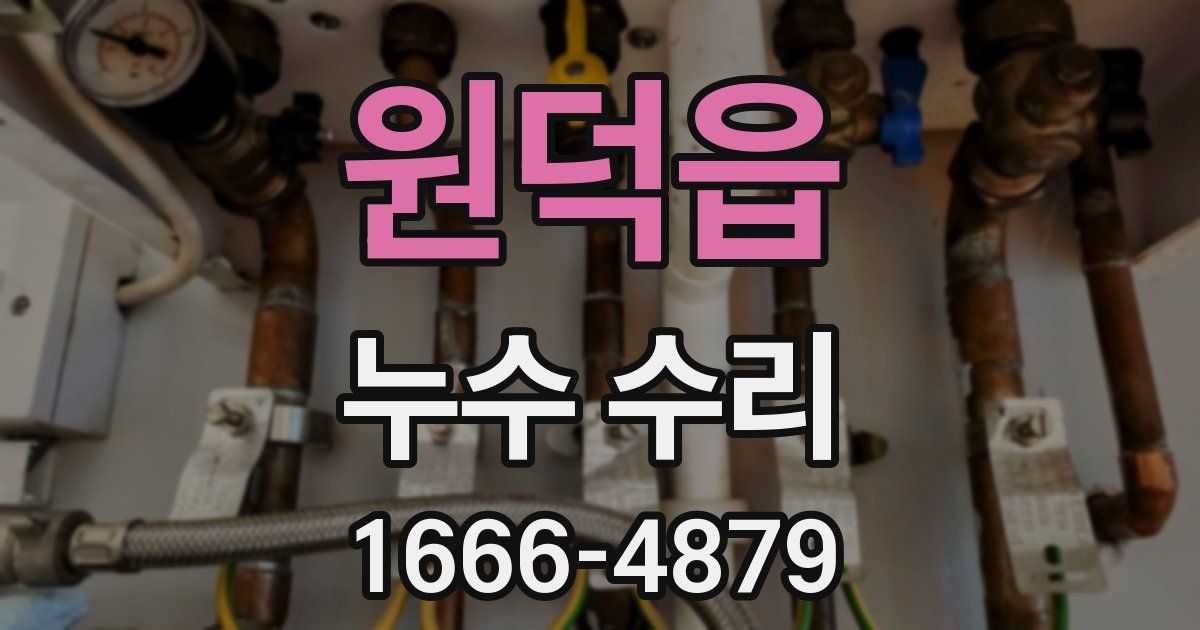 원덕읍 누수 수리
