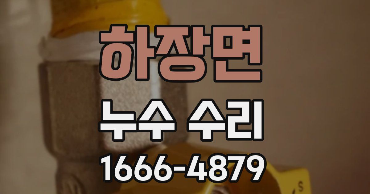 하장면 누수 수리