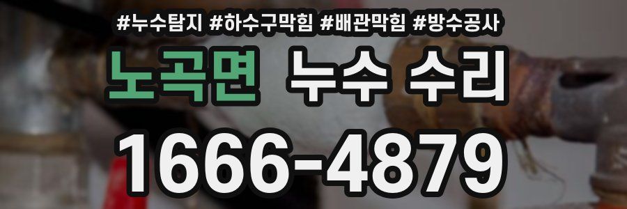 노곡면 누수 수리