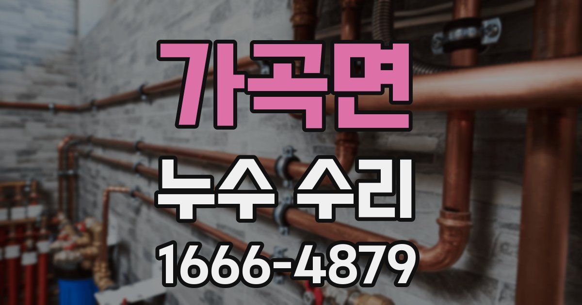 가곡면 누수 수리