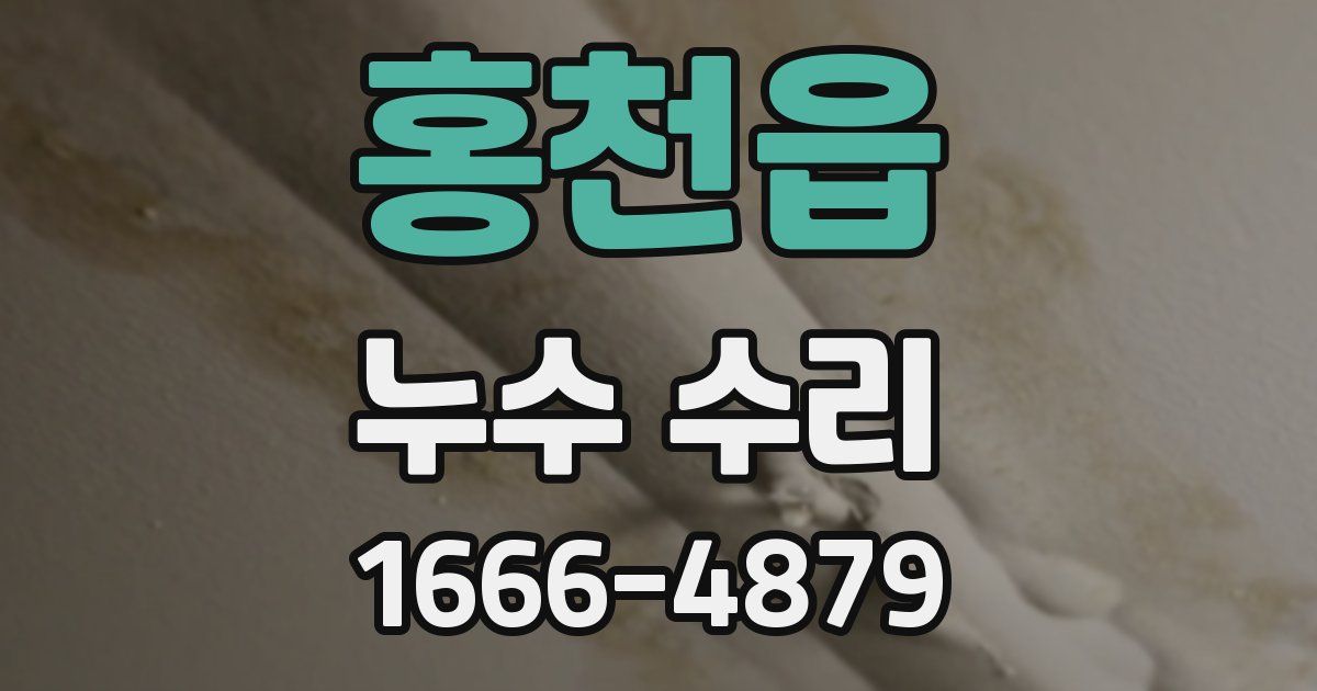 홍천읍 누수 수리