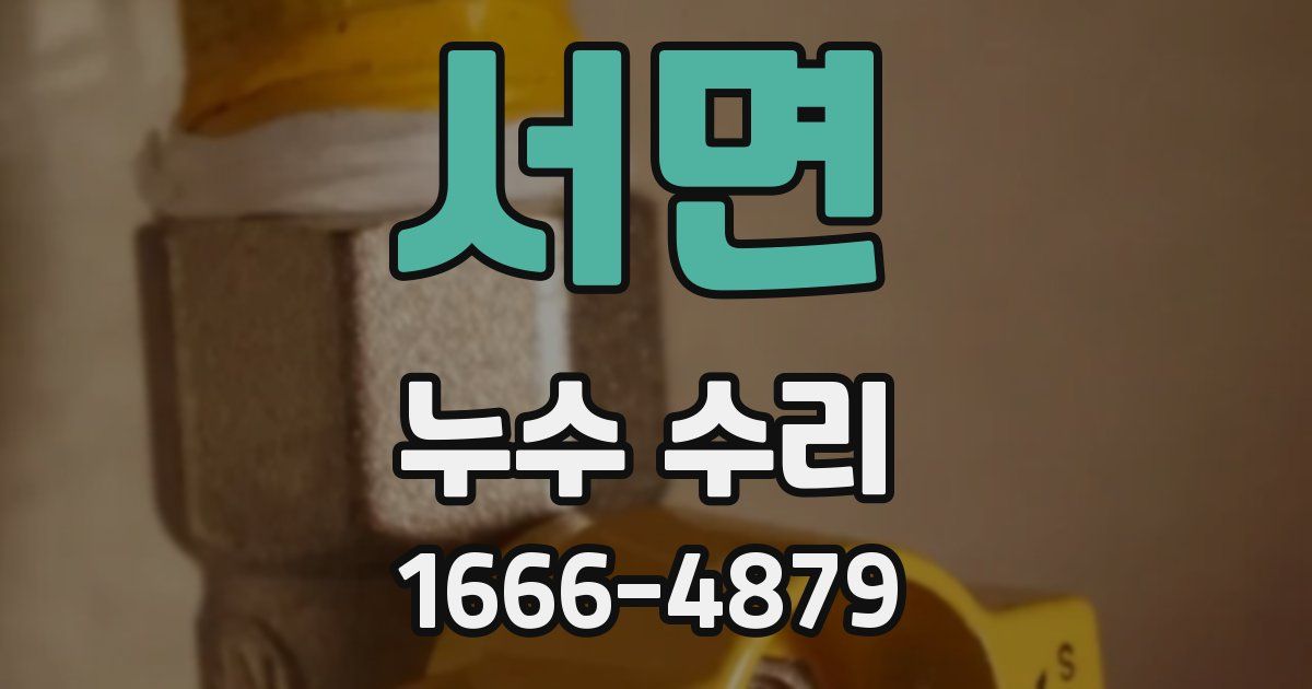 서면 누수 수리