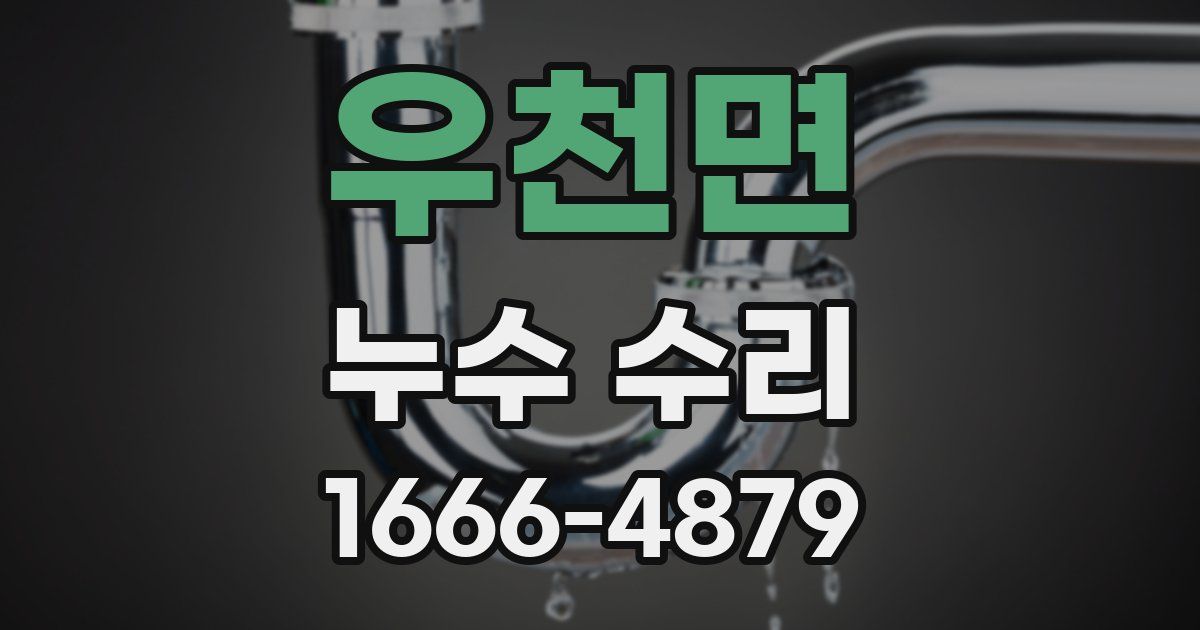 우천면 누수 수리