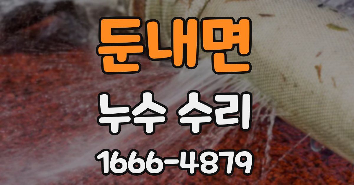 둔내면 누수 수리
