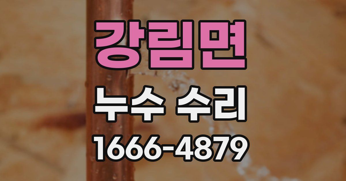 강림면 누수 수리