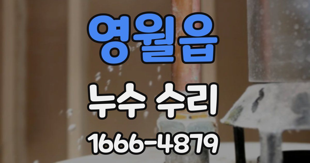 영월읍 누수 수리
