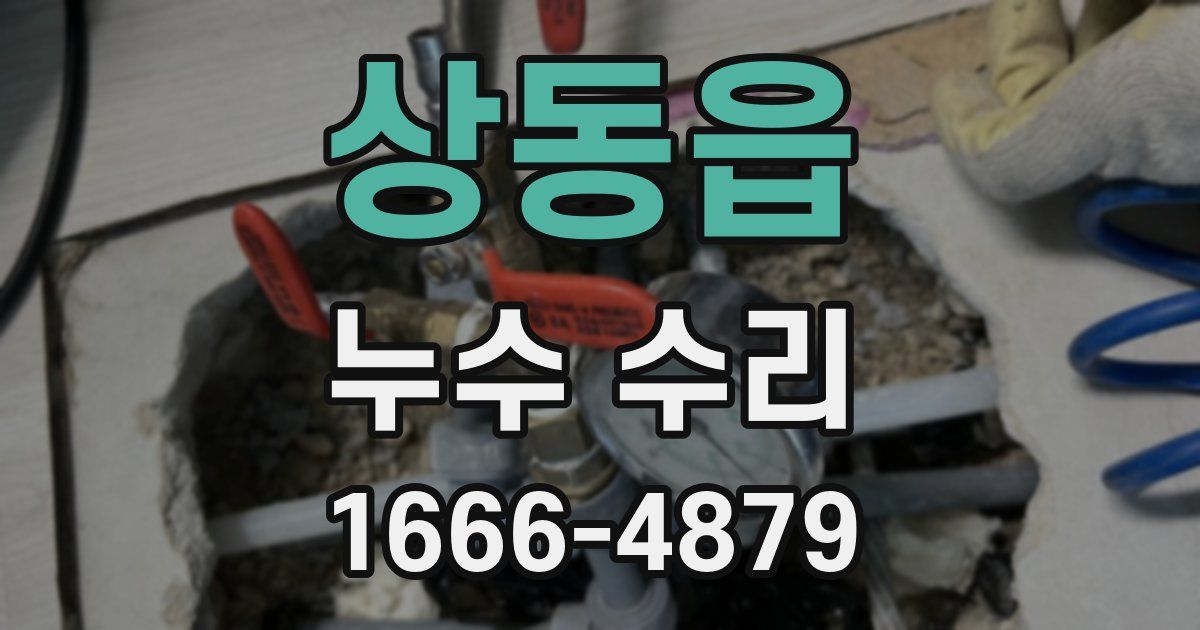 상동읍 누수 수리