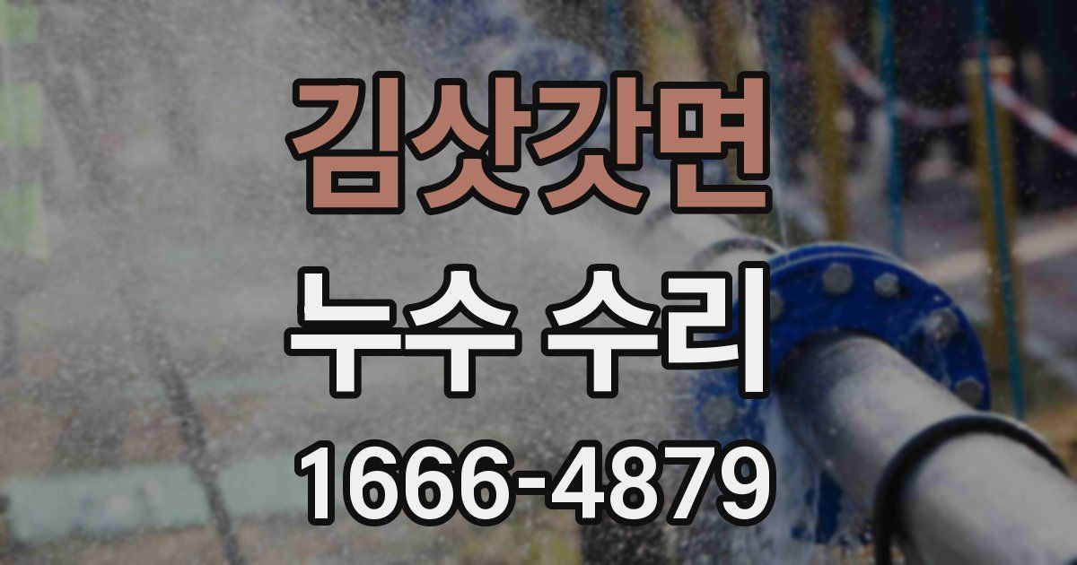 김삿갓면 누수 수리