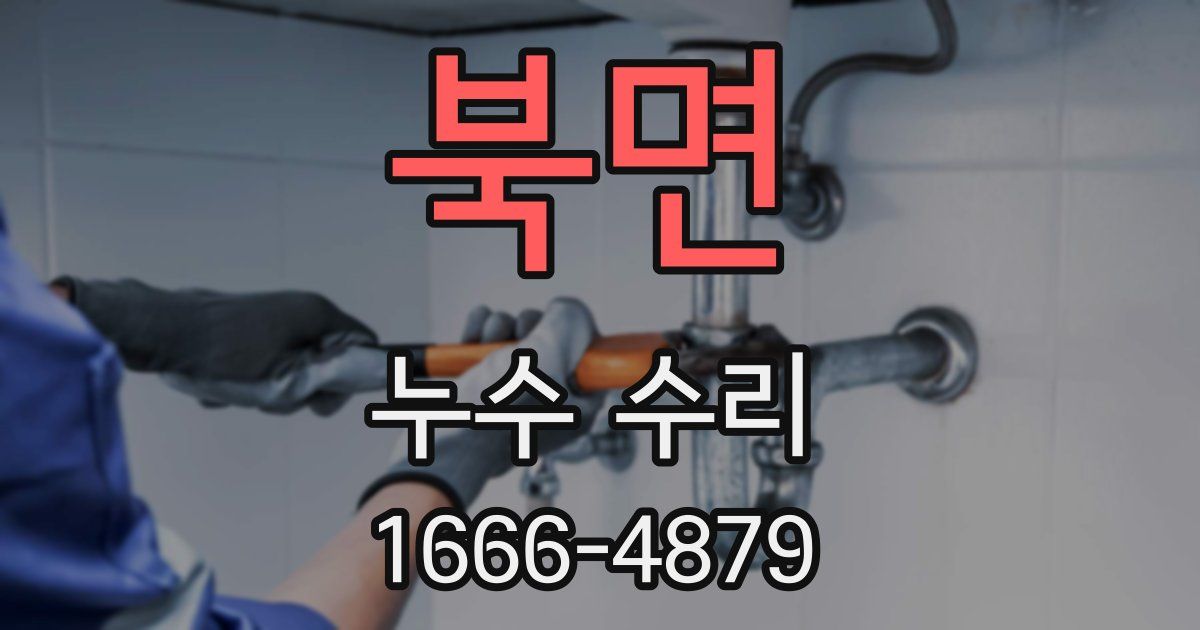 북면 누수 수리