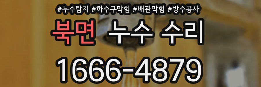 북면 누수 수리