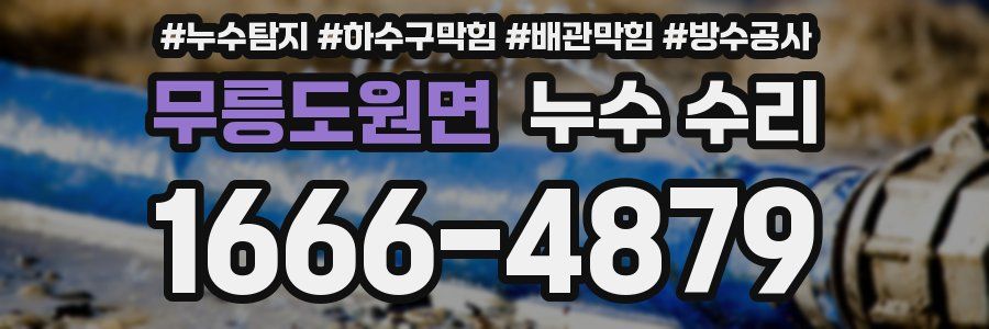 무릉도원면 누수 수리