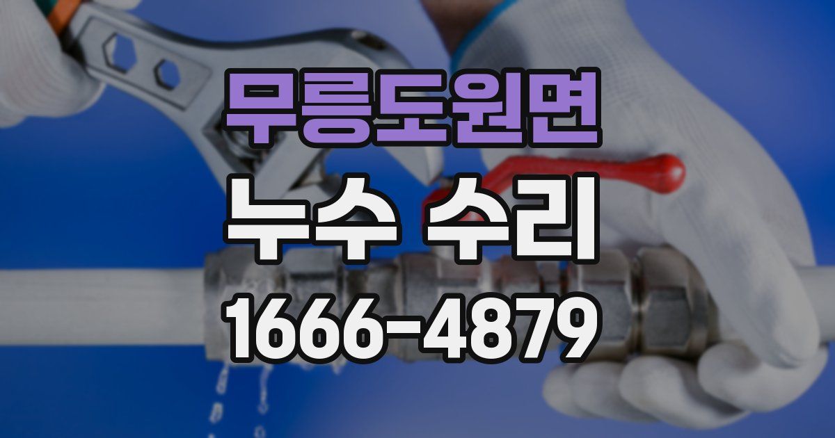 무릉도원면 누수 수리