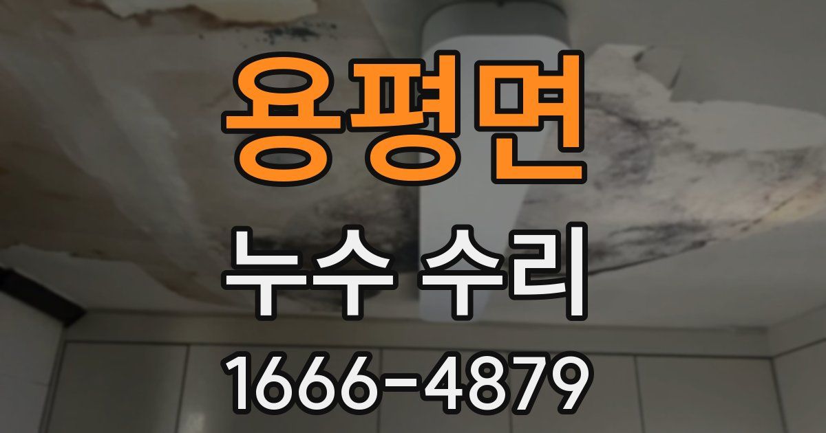용평면 누수 수리