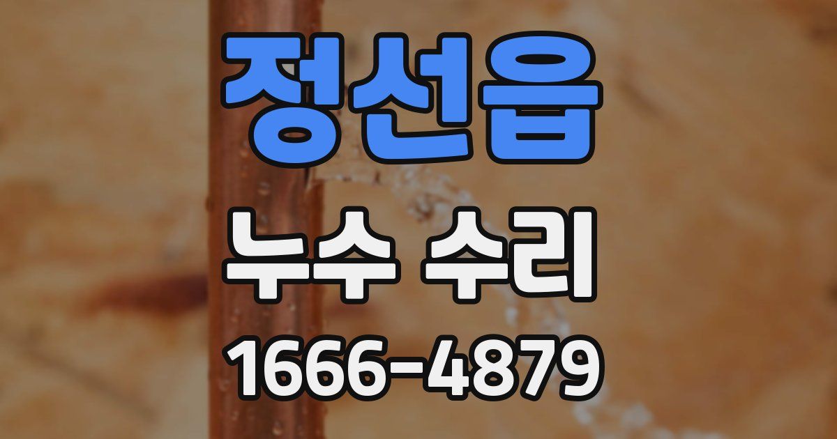 정선읍 누수 수리