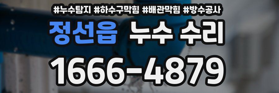 정선읍 누수 수리