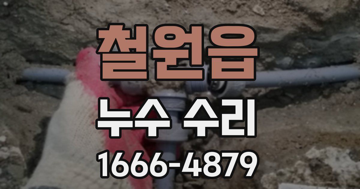 철원읍 누수 수리