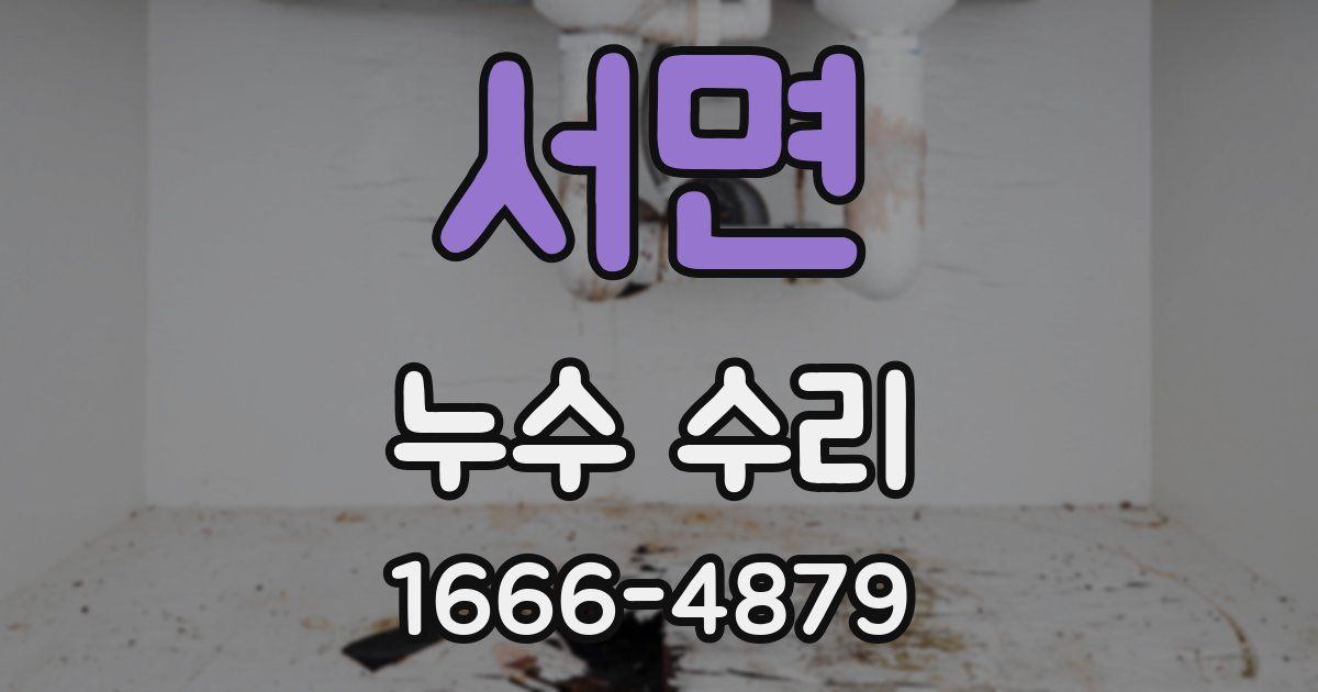 서면 누수 수리