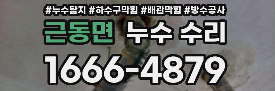 근동면 누수 수리