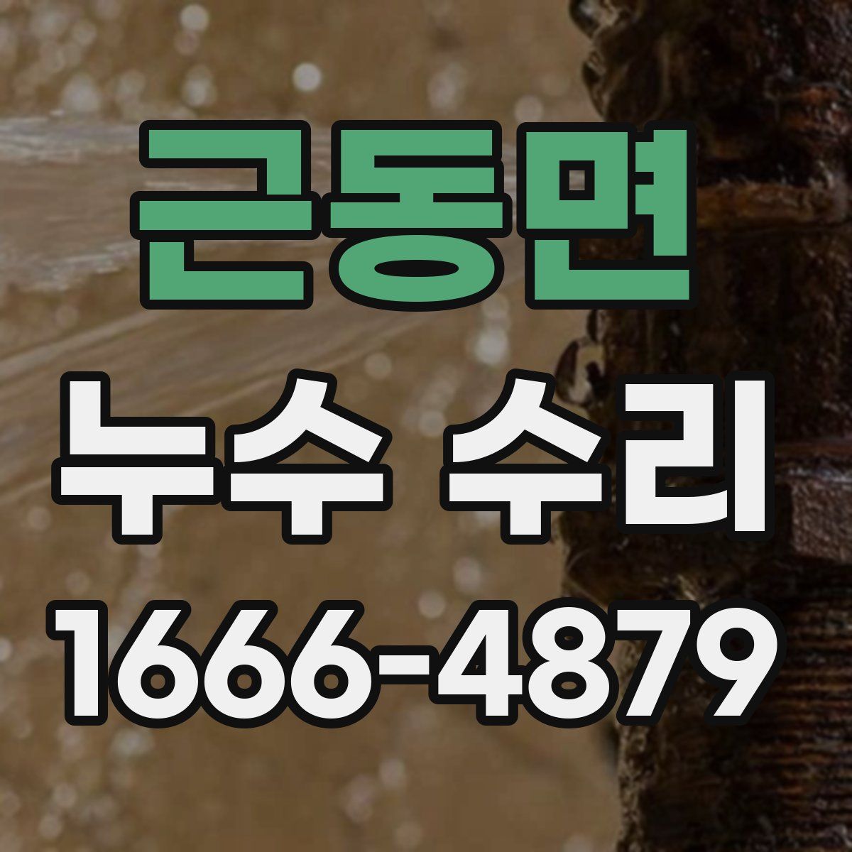 근동면 누수 수리