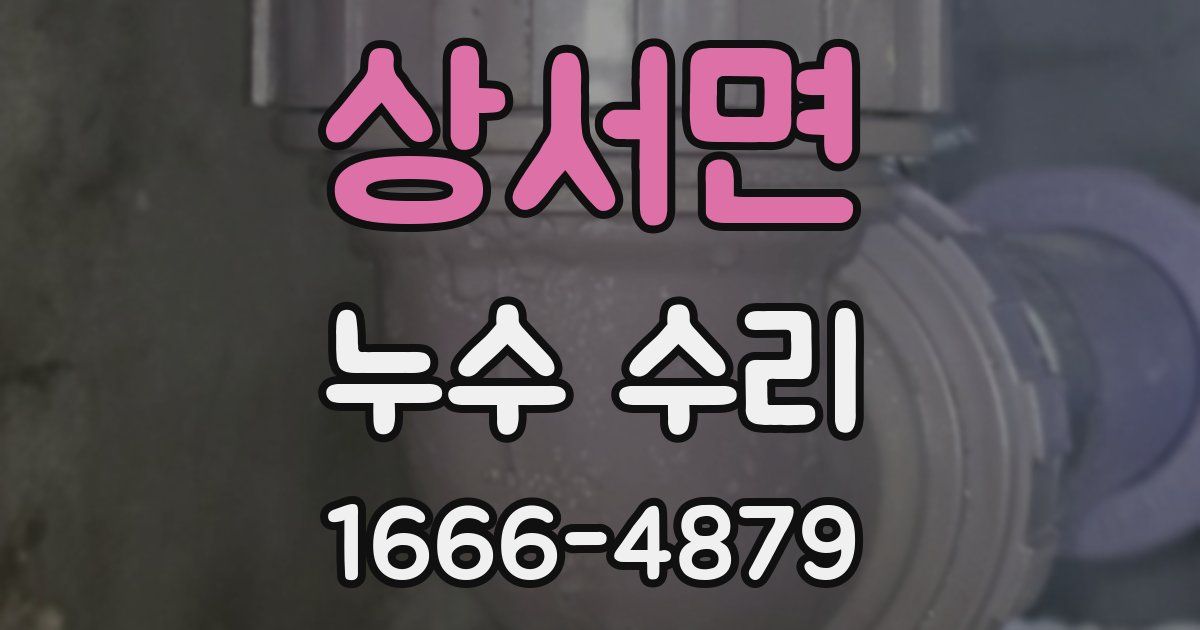 상서면 누수 수리