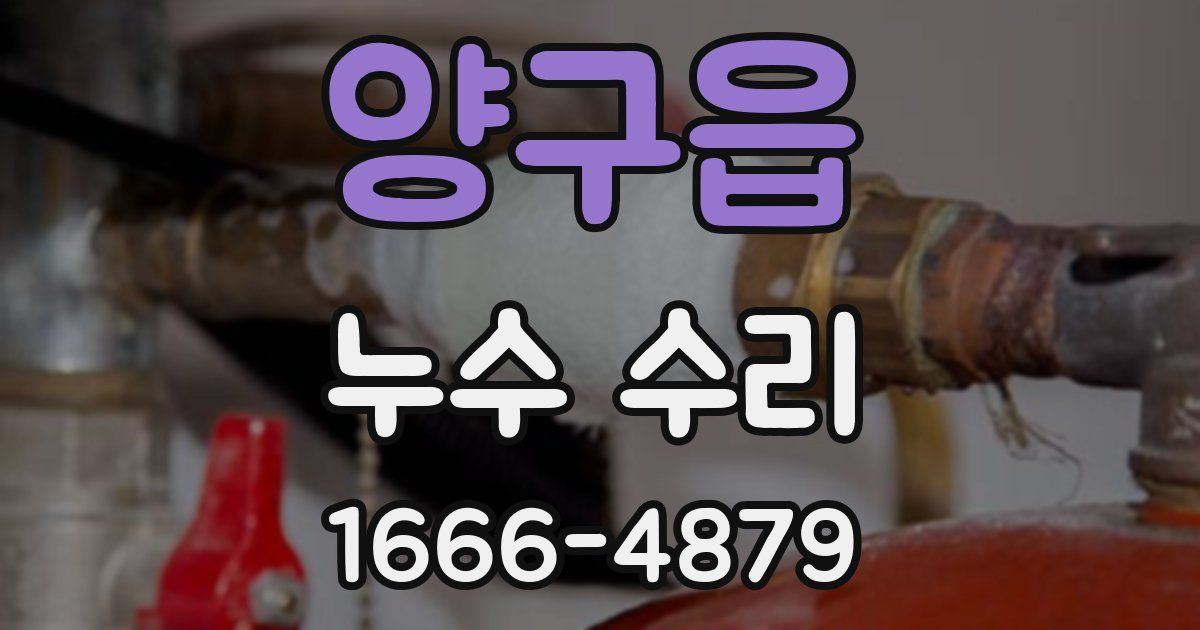 양구읍 누수 수리